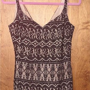 Cashe women’s dress